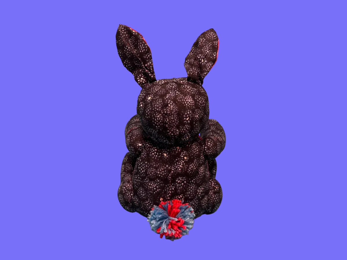 Berry Bunny