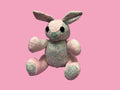 Flower Bunny