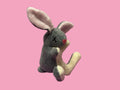 Catnip Filled Bunny Cat Toy